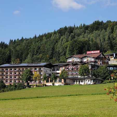 Wellness- Und Ferienhotel Waldesruh Bodenmais Zewnętrze zdjęcie