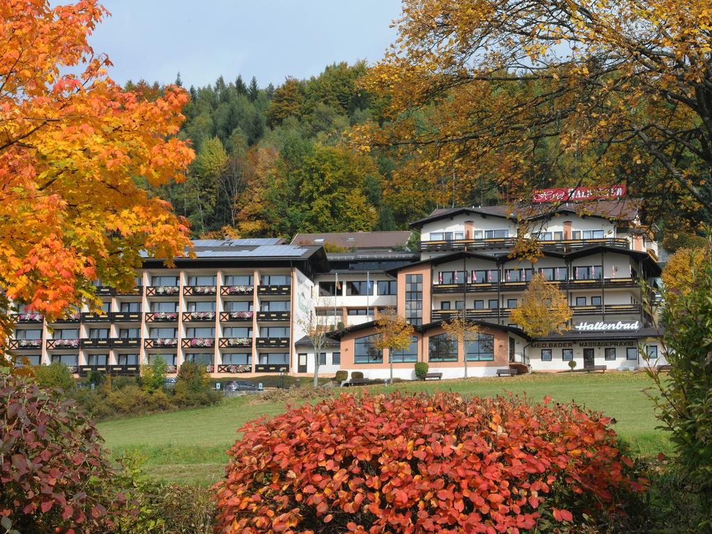 Wellness- Und Ferienhotel Waldesruh Bodenmais Zewnętrze zdjęcie