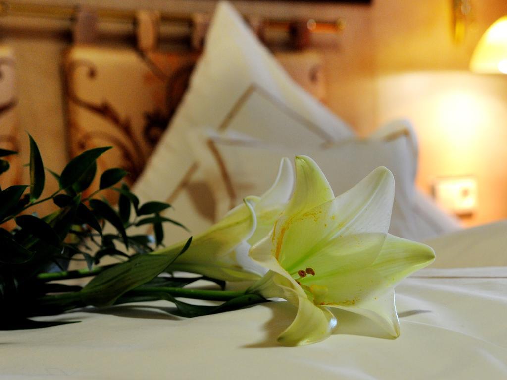 Wellness- Und Ferienhotel Waldesruh Bodenmais Pokój zdjęcie